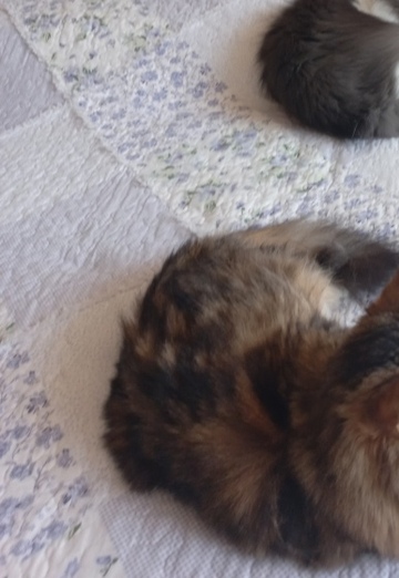 Alex (@alex142918) — my photo № 3