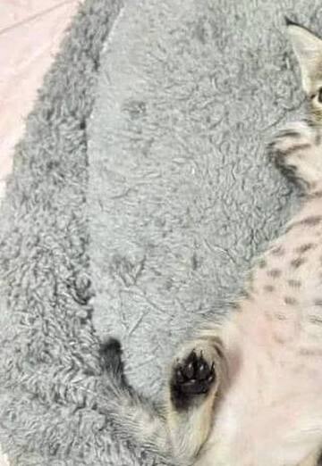 Maksim (@maksim340407) — my photo № 1