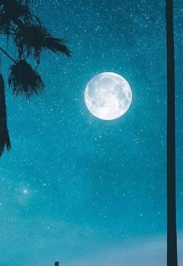 Anast (@anast54) — my photo № 1