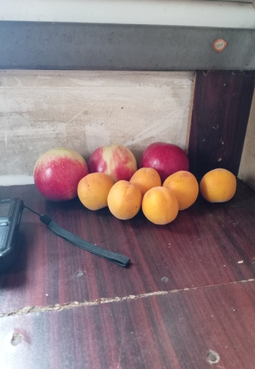 Honor (@honor105) — my photo № 1