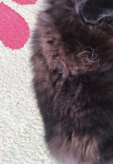 Liliya (@liliya42553) — my photo № 1