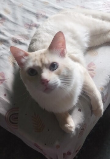 Marcio (@marcio117) — my photo № 1