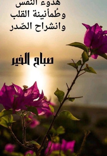 hamza (@hamza3270) — my photo № 1