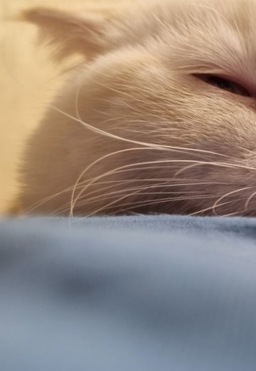 Yalijen (@yalijen) — my photo № 1