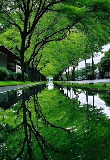 Mohammed (@mohammed2066) — my photo № 3