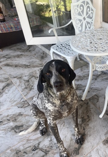 Marina (@marina300967) — my photo № 1