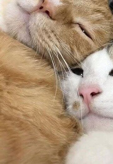 LuizPhellypyFernandes (@9ycacurnfp) — my photo № 4