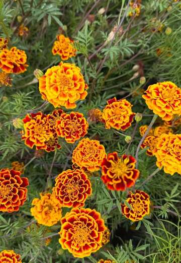 Mark (@mark37196) — my photo № 2