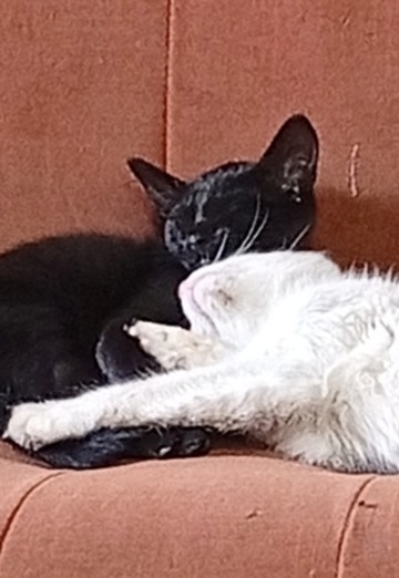 حمزة (@h704aytnih) — my photo № 1