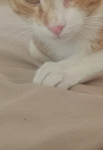 Haithem (@haithem41) — my photo № 1