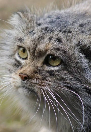 haylay (@haylay) — my photo № 1