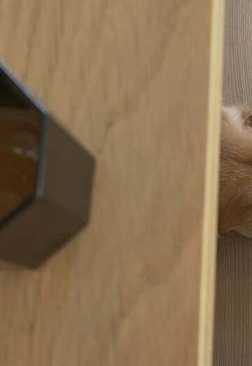 Alina (@alina138803) — my photo № 1