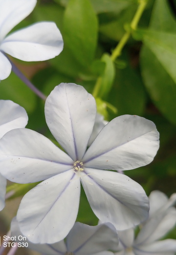 Mohamed (@mohamed4850) — my photo № 2