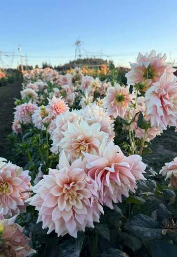 Mark (@mark37196) — my photo № 1