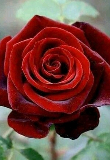 Mahmad (@mahmad903) — my photo № 1