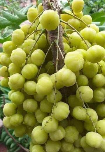 Md Mohasin (@mdmohasin) — my photo № 1