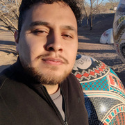 Kevin 25 Chihuahua