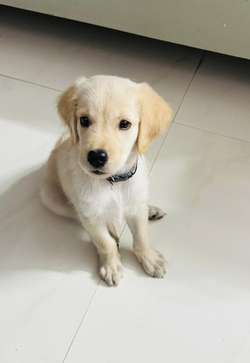 Mithu (@mithu13) — my photo № 2