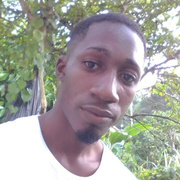 Dreamkid 34 Kingston