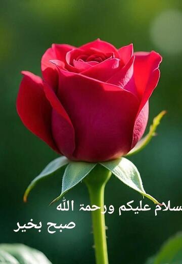 hbl (@hbl3) — my photo № 4