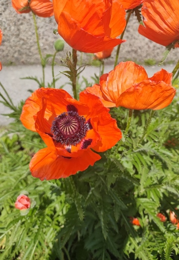 Ahong (@ahong) — my photo № 1