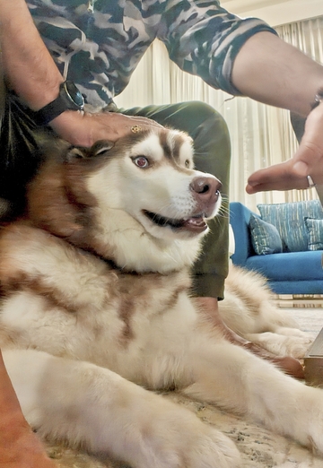 Anurag (@anurag137) — my photo № 5