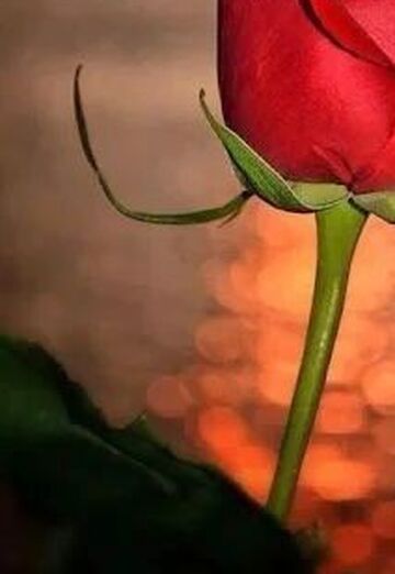 محمد (@3fqdmnixy6) — my photo № 1