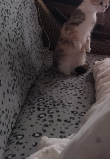 Lyudmila (@ludmila135573) — my photo № 1