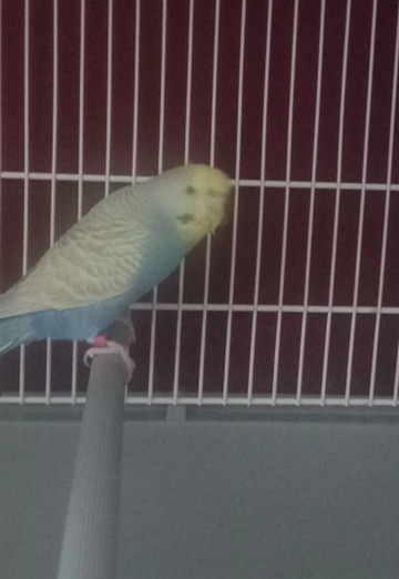 Aboubaker (@aboubaker2) — my photo № 1