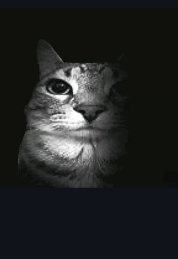 luffy (@luffy45) — my photo № 1