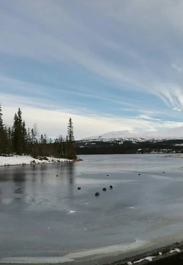 Martínez (@martinez142) — my photo № 3